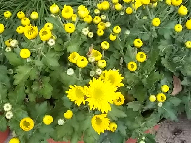 DSCN1196.JPG