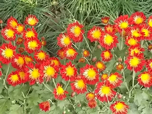 DSCN1340.JPG