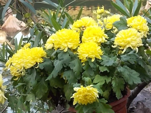 DSCN1319.JPG