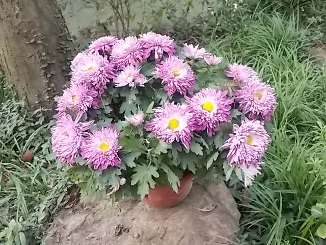DSCN1256.JPG