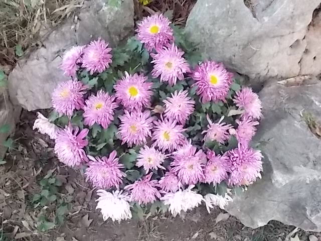 DSCN1220.JPG
