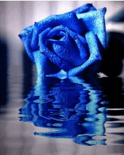 3c7765b07ac88ea9ff64412c6e0a5b4f.gif
