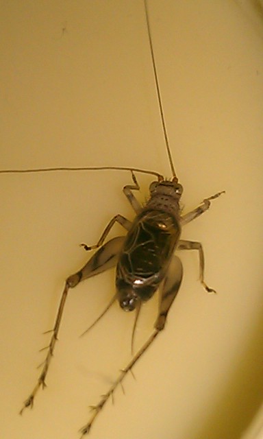 IMAG0188.jpg
