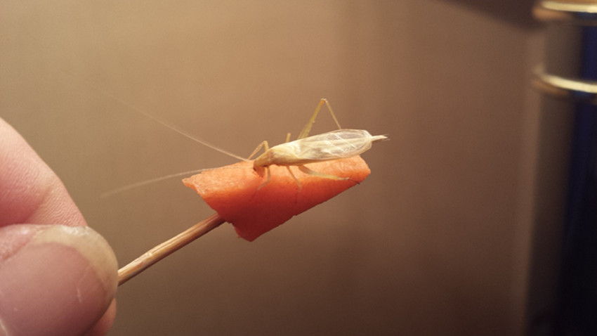 20141105_014800_副本.jpg