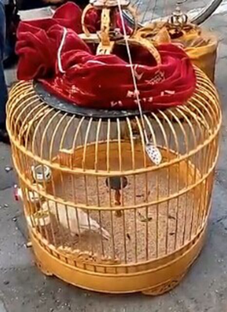 QQ图片20141130224506_副本.jpg