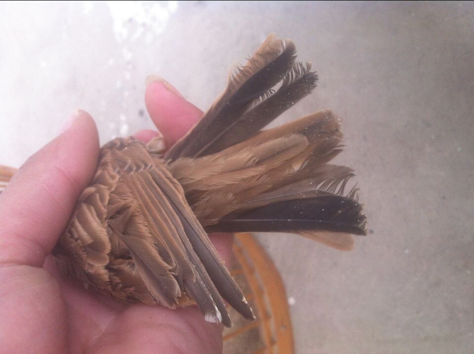 QQ图片20141124114008.jpg