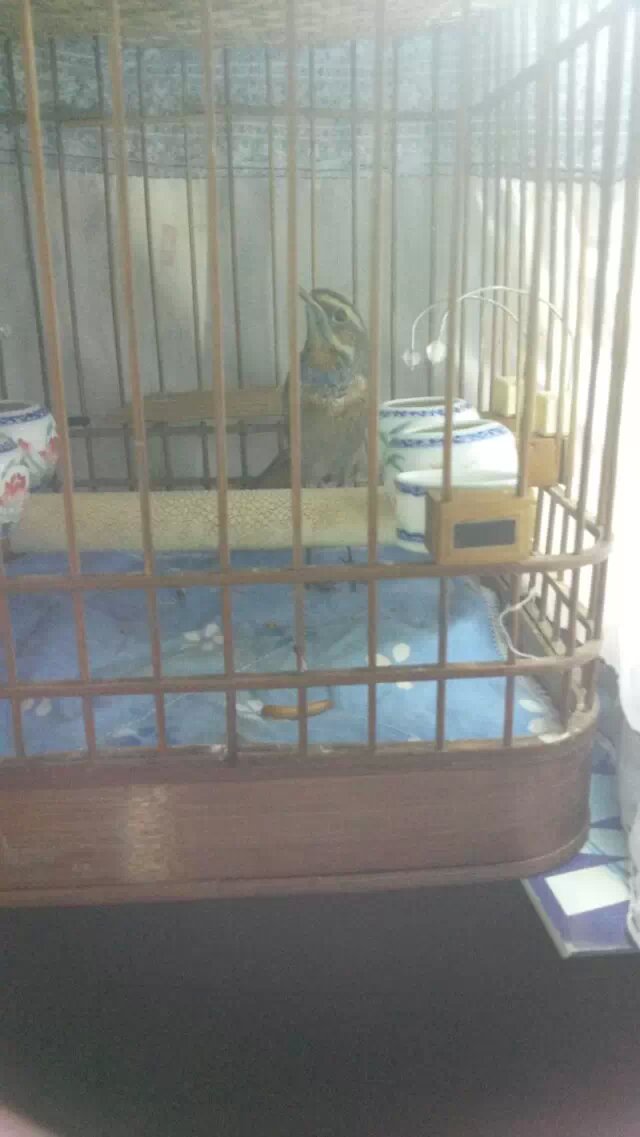 psbCAF4TYVN.jpg