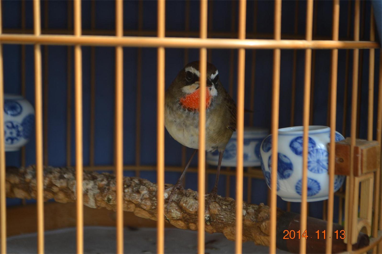 DSC_0690.JPG