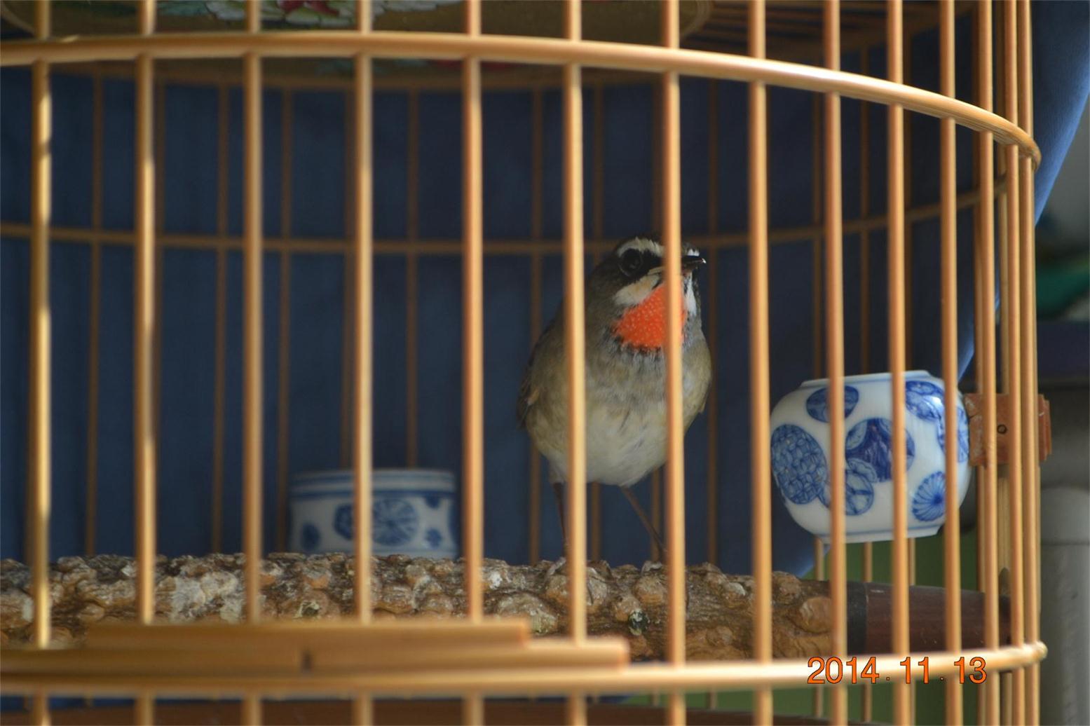 DSC_0683.JPG