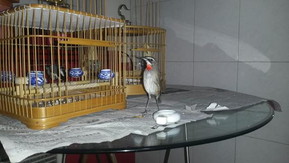 20141111_193404.jpg