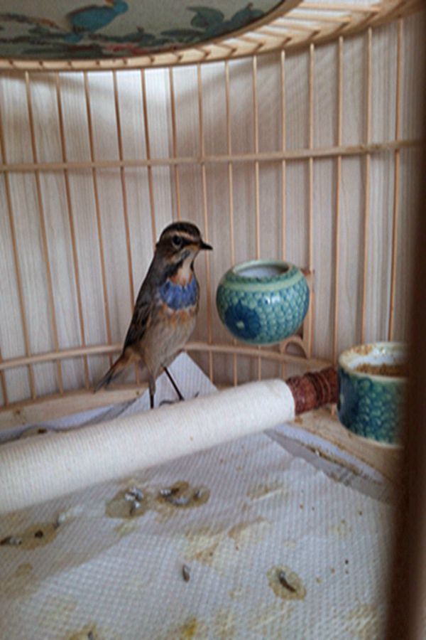 20141107_090012.jpg