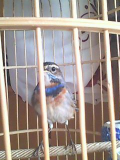 141028A377.jpg