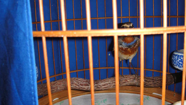DSC00058.JPG