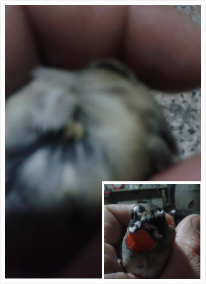 pt2014_11_30_08_10_46.jpg