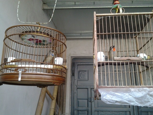 2014-10-23 12.46.02_副本.jpg
