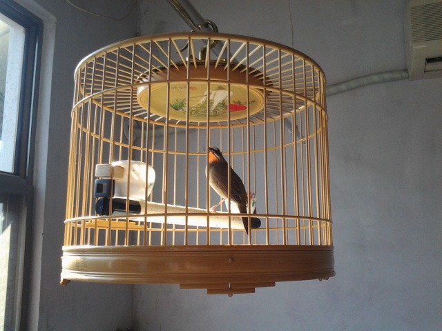 2014-11-04 13.51.24_副本.jpg