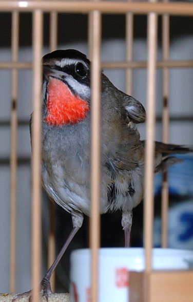 DSC_0872.JPG