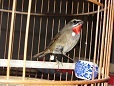 DSC06615.JPG