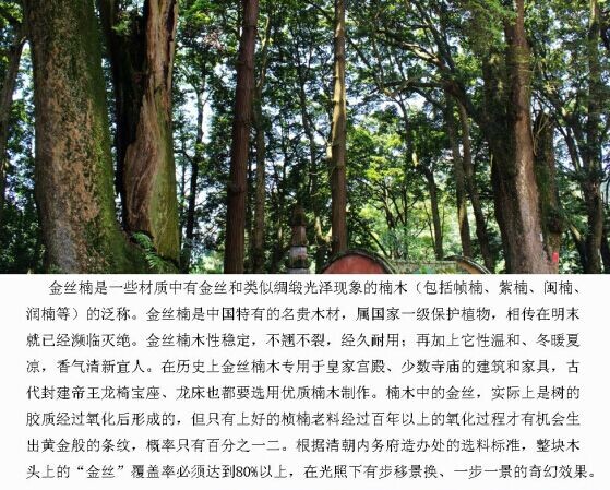 QQ图片20141126101440.jpg