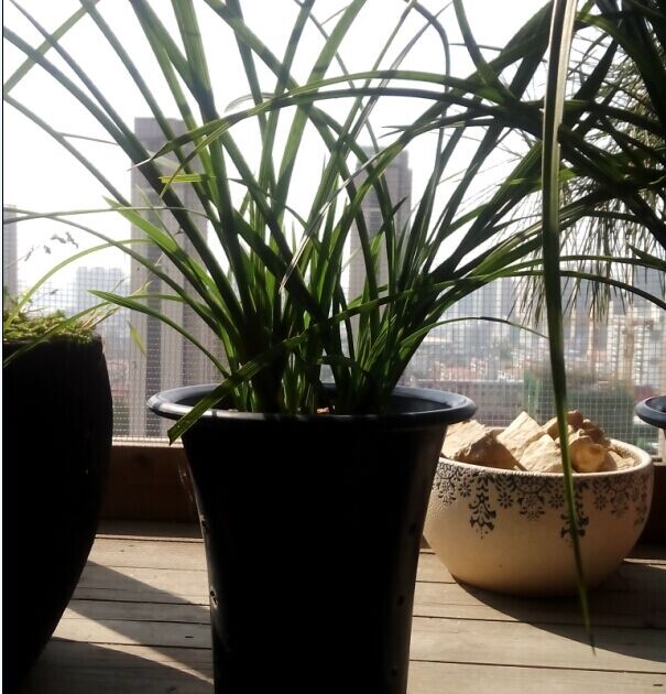 QQ图片20141128150633.jpg