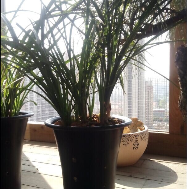 QQ图片20141128150626.jpg