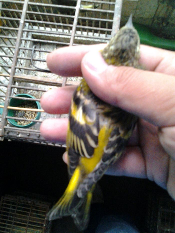 20141101_162321.jpg