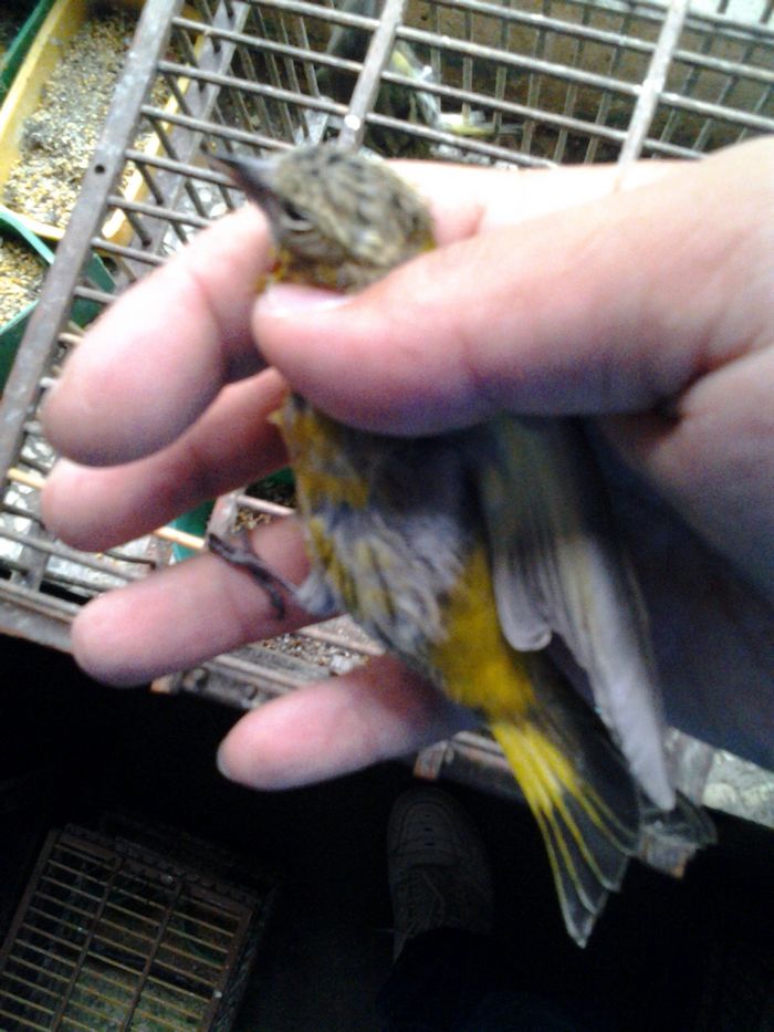 20141101_162408.jpg