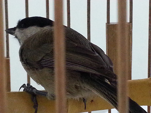 20141111_085126_副本.jpg