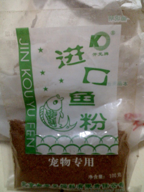 鸟食4.jpg