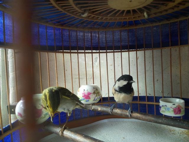 IMG20141116122436.jpg