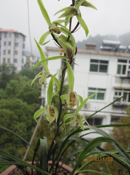 QQ图片20141206200014.jpg