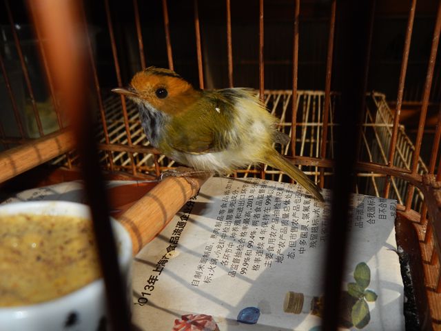 DSCN2053.JPG