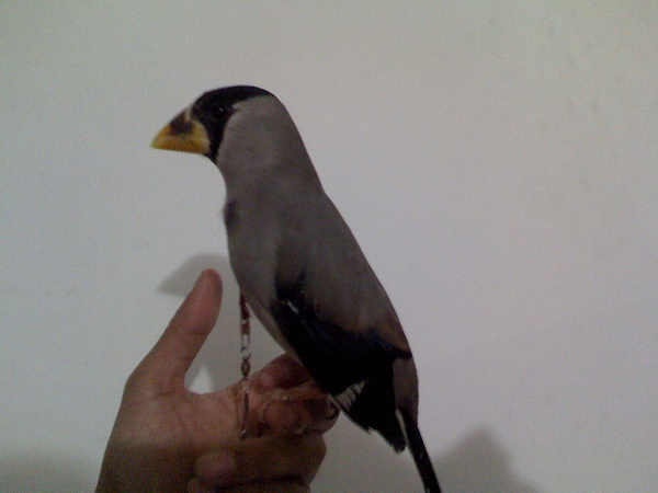 IMG1206191300.jpg
