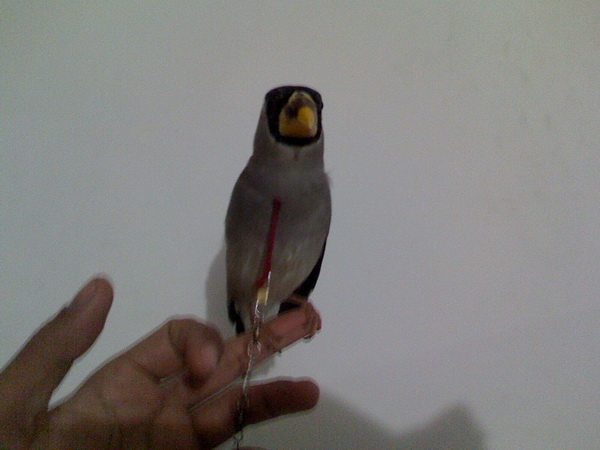 IMG1206191201.jpg