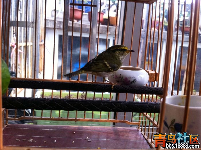 nEO_IMG_照片 322.jpg