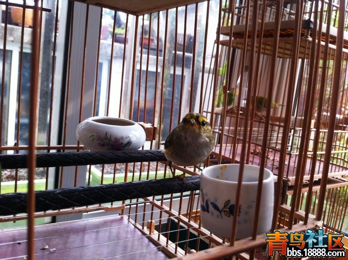 nEO_IMG_照片 423.jpg