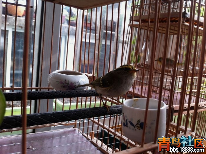 nEO_IMG_照片 421.jpg