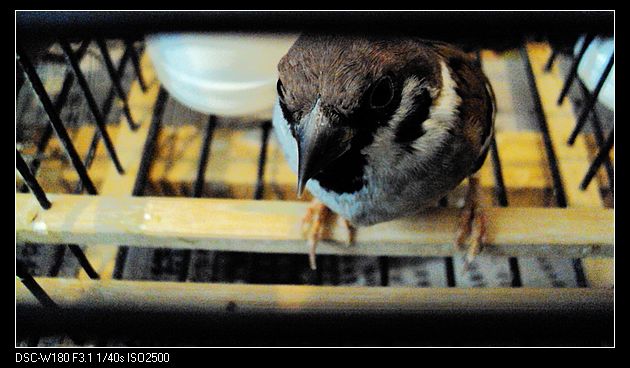 710_592444_98924f62178affc.jpg