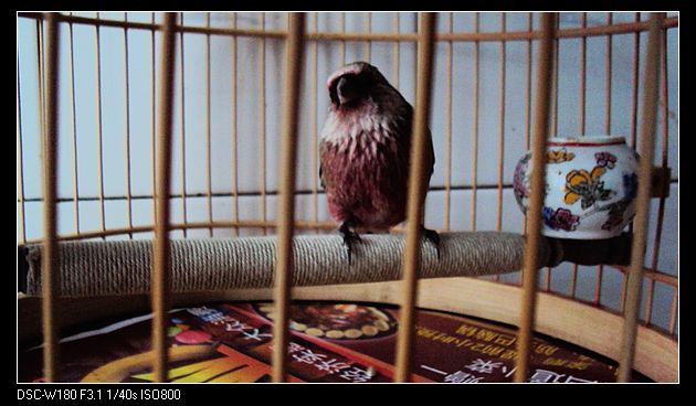 nEO_IMG_DSC04928.jpg