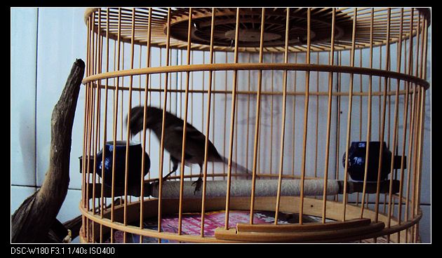 nEO_IMG_DSC04895.jpg