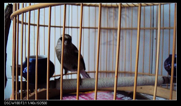 nEO_IMG_DSC04897.jpg