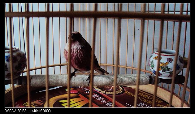 nEO_IMG_DSC04933.jpg