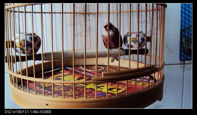 nEO_IMG_DSC04921.jpg
