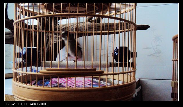 nEO_IMG_DSC04902.jpg