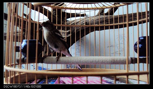 nEO_IMG_DSC04908.jpg