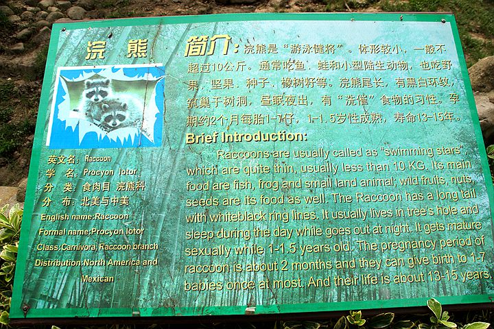 DSC01816.JPG