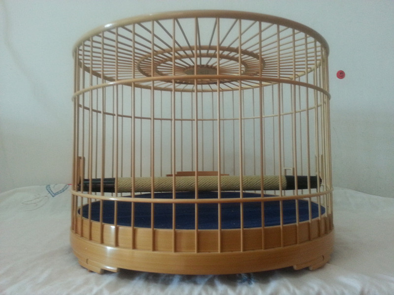 20141205_095828_副本.jpg