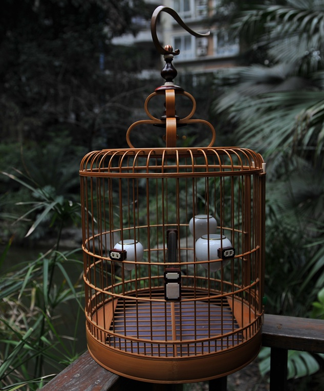 对桥对节四川笼 020.jpg