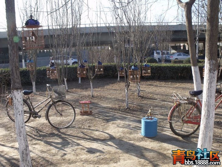 DSCF5890.JPG