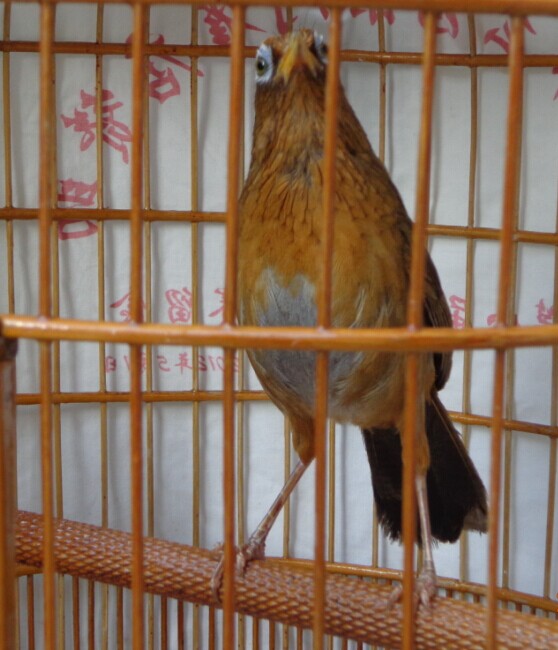QQ图片20140628012734.jpg